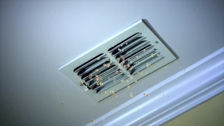 Best Best Air Duct Cleaning Company  in Nokesville, VA